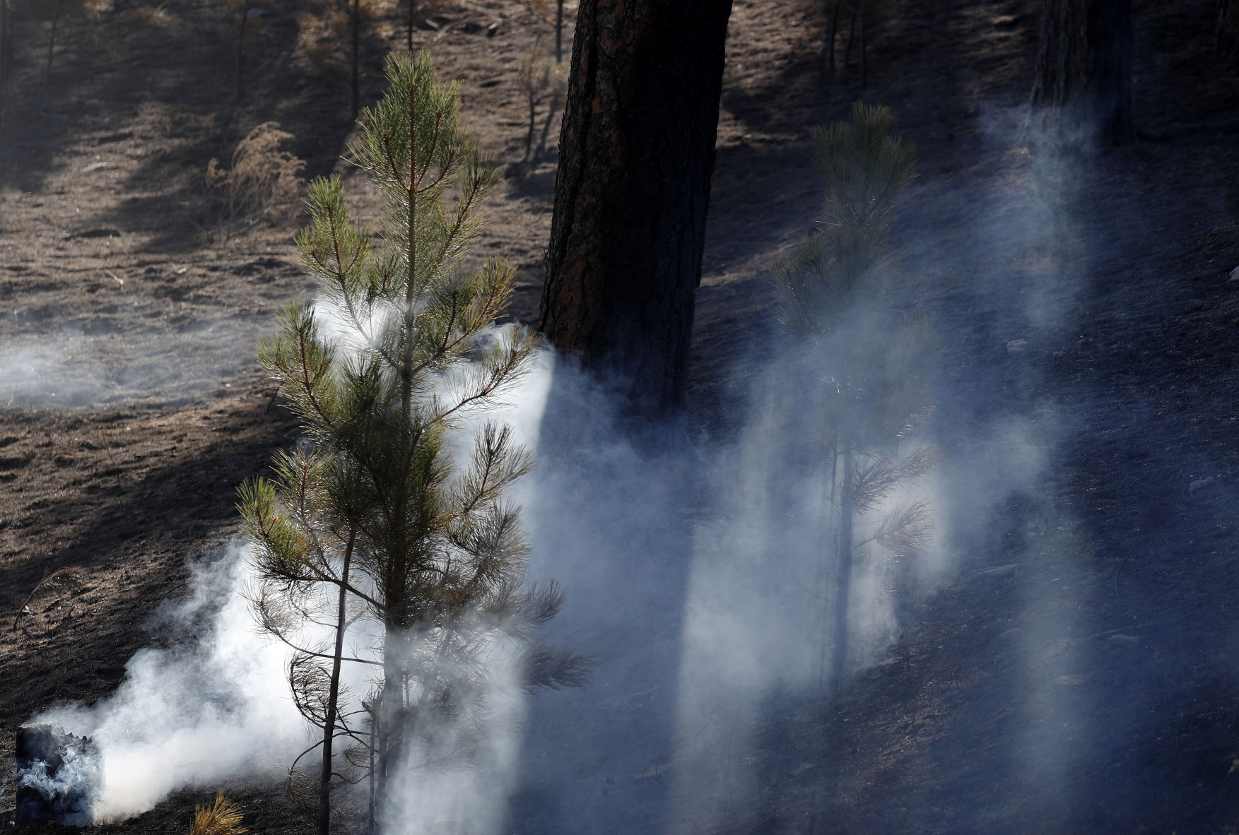 Bobcat fire